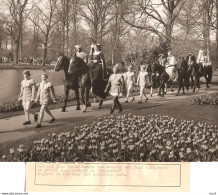 Persfoto Lisse Keukenhof Intocht Paarden KE4326 - Lisse