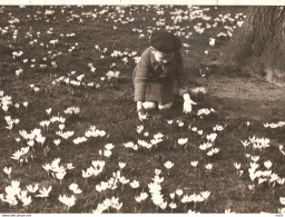 Persfoto Lisse Keukenhof Kind Bloemenveld KE4325 - Lisse