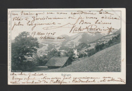 CPA - Suisse - Boltigen 1905 - Boltigen