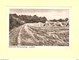 Lochem Korenveld Barchemseweg 1952 RY39318 - Lochem