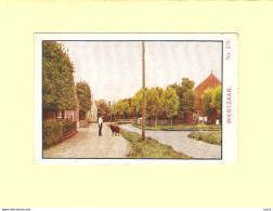 Westzaan Albumplaatje Honig Nr.210 RY41424 - Zaanstreek