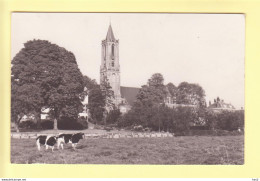 Amerongen Vanaf Lievendaal, Landschap RY21680 - Amerongen