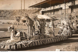 Aalsmeer Bloemencorso 1955 KE473 - Aalsmeer