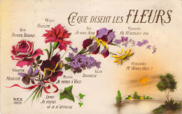 CPA - FANTAISIE - Illustration Non Signée - Fleurs - Ce Que Disent Les Fleurs - CARTE POSTALE ANCIENNE - Flores