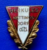 WRESTLING+OSTERREICH+HERKULES+NETTINGS-DORF+RARE+VINTAGE+BADGE - Lotta