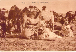 CPA - ALGERIE - La Halte Des Chameliers -  Folklore - CARTE POSTALE ANCIENNE - Autres & Non Classés