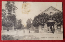 CPA  Décollée - Beauchamps - Avenue Des Châtaigniers  (Beauchamp  ) - Beauchamp