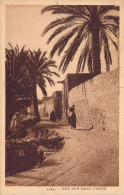 AFRIQUE - ALGERIE - Une Rue Dans L'Oasis - Carte Postale Ancienne - Otros & Sin Clasificación