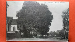 CPA (90)  Fontaine. Le Tilleul De Turenne.    (Z.1202) - Fontaine