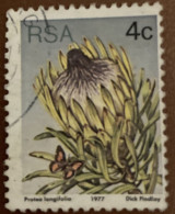 South Africa 1977 Flora - Protea Plants 4c - Used - Used Stamps