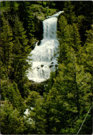 Yellowstone National Park Udine Fall Near Tower Junction - Parques Nacionales USA