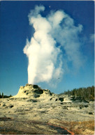 Yellowstone National Park Castle Geyser - USA Nationale Parken