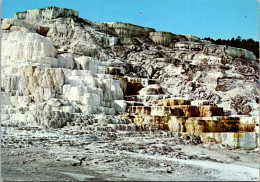 Yellowstone National Park Minerva Terrace - Parques Nacionales USA