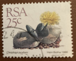 South Africa 1988 Succulents Cheiridopsis Peculiaris 25c - Used - Used Stamps