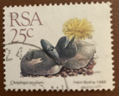 South Africa 1988 Succulents Cheiridopsis Peculiaris 25c - Used - Oblitérés