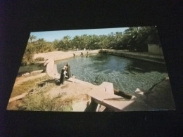 STORIA POSTALE  FRANCOBOLLO ARABIA SAUDITA K.S.A. THE FRESH MINERAL FOUNTAINS THAT SPREAD ALL OVER SAUDI ARABIA - Arabie Saoudite