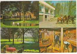 Lochem - Hotel-Restaurant 'Alpha', Paaschberg 2 - (Gelderland, Nederland/Holland) - Paarden - Lochem