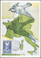 Pays Bas - Netherlands - Niederlande CM 1958 Y&T N°692- Michel N°MK719 - 30c EUROPA - Maximumkarten (MC)