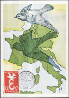 Pays Bas - Netherlands - Niederlande CM 1958 Y&T N°691- Michel N°MK718 - 12c EUROPA - Maximum Cards