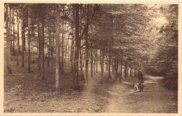 BELGIQUE - NAMUR - COUVIN - Sous Bois - PUB - Grand Hotel St Roch - Restaurant - Rotisserie  - Carte Postale Ancienne - Couvin