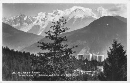 FRANCE - 74 - Sancellemoz Et Le Mont Blanc - Carte Postale Ancienne - Other & Unclassified