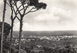 CARTOLINA  FAENZA,EMILIA ROMAGNA-PANORAMA-STORIA,MEMORIA,CULTUR,RELIGIONE,IMPERO ROMANO,BELLA ITALIA,VIAGGIATA 1962 - Faenza