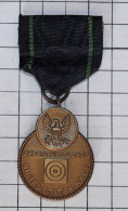 Médaille De Carabinier Expert De La Marine > Navy Expert Rifleman Medal >1969> Réf:Cl USA P 1/1 - Etats-Unis