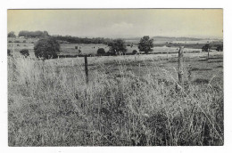 CPSM VUE DE CHETLUY ? EDITEUR A HOUDREMONT ( GEDINNE ), BELGIQUE - Gedinne