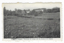 CPSM PATIGNIES, PANORAMA DU VILLAGE, PRIS DU CHEMIN DE LA GALETTE, Format 9 Cm Sur 14 Cm Environ, GEDINNE, BELGIQUE - Gedinne