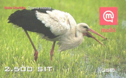Slovenia:Used Phonecard, Mobi, 2500 SIT, Stork, Ciconia Ciconia, 2008 - Otros & Sin Clasificación