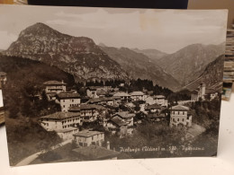 Cartolina  Pielungo Fa Parte Del Comune Di Vito D'Asio, In Provincia Di Pordenone, Panorama Anni 70 - Pordenone