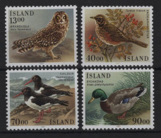 Island - N°621 à 624 - Faune - Oiseaux - Cote 14€ - ** Neuf Sans Charniere - Unused Stamps