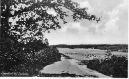 Nederland Holland Pays Bas Lochem Bij Zutphen Panorama Leemkuil - Lochem