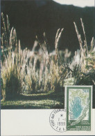 TAAF N° 244 FLORE SUR CARTE MAXIMUM - FDC