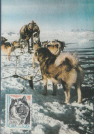 TAAF N° 265 CHIENS SUR CARTE MAXIMUM - FDC