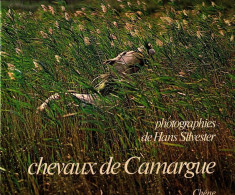 Chevaux De Camargue - Hans Silvester - Languedoc-Roussillon