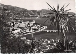 MONACO,MONTE CARLO,1952,CARTE PHOTO LA CIGOGNE - Monte-Carlo