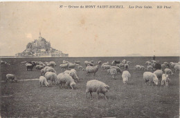 FRANCE - 50 - LE MONT SAINT MICHEL - Les Prés Salés - Carte Postale Ancienne - Le Mont Saint Michel