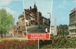 Greetings From Harrogate , - Harrogate