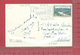 CARTE NOMINATIVE :  PERROCHON ( Manufacture De Tabacs ) à  45000  Orleans - Genealogy