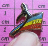 513G Pin's Pins / Beau Et Rare / SPORTS / CLUB GYMNASTIQUE AAC GYM - Ginnastica