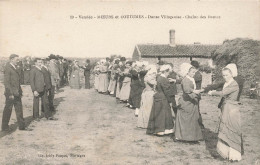 Vendée , Moeurs Et Coutumes * Danse Villageoise , Chaine Des Dames * Coiffe Coiffes Costume - Autres & Non Classés