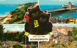 England Good Luck From Bournemouth Multi View - Bournemouth (from 1972)