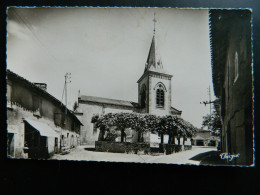 NIEUL                PLACE DE L'EGLISE - Nieul