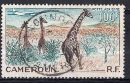 CAMEROUN  Timbre-Poste Aérienne N°47 Oblitéré TB Cote 3.00 € - Luchtpost