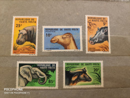 Haute-Volta	Animals (F22) - Côte D'Ivoire (1960-...)