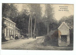 Waasmunster  Molenstraat  Rue Du Moulin  1914 - Waasmunster