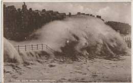 THE DOG WAVE - BLACKPOOL - Blackpool