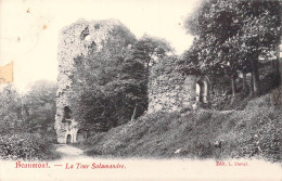 BELGIQUE - Beaumont - La Tour Salamandre - Carte Postale Ancienne - Beaumont
