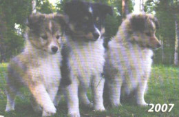 Pocket Calendar, Dogs, Puppies, 2007 - Petit Format : 2001-...
